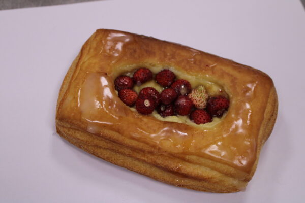 Basi rettangolari - 70 pezzi