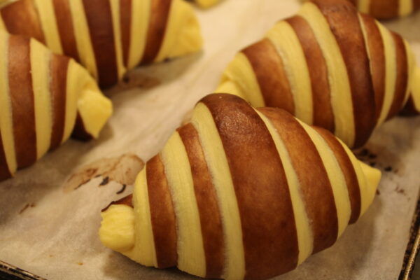 Cornetto Bicolore 70 Pezzi (Disponibile in vari Colori: Cacao, Rosso, Giallo, Verde specificare nelle note)